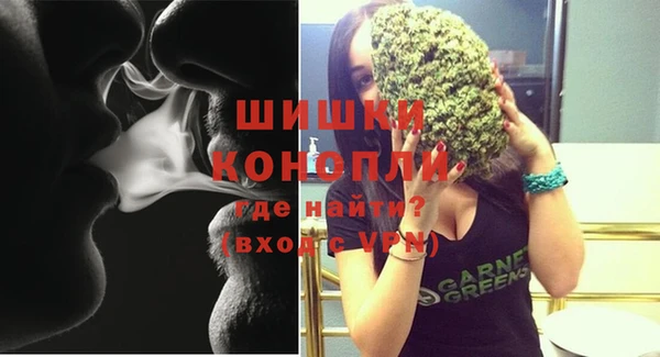 дживик Елизово