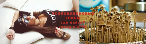 дживик Елизово