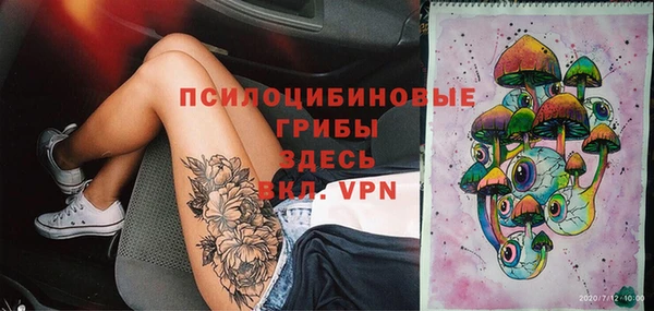 дживик Елизово