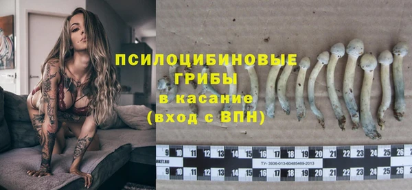 не бодяженный Дмитров