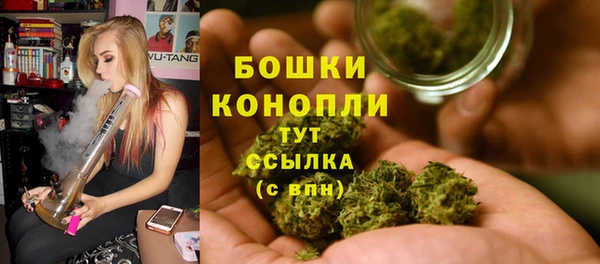 дживик Елизово